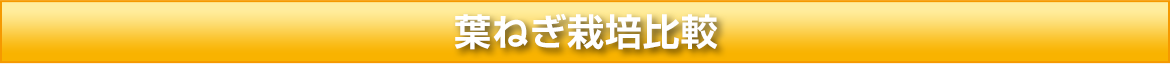 葉ねぎ栽培比較